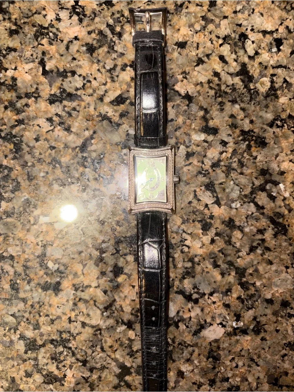 Elini womens lucky horseshoe Black Leather Strap Stainless steel Diamond